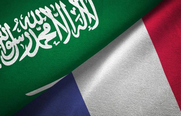 فرنسا تدرس مع السعودية خيارات لحماية ميناء ينبع النفطي