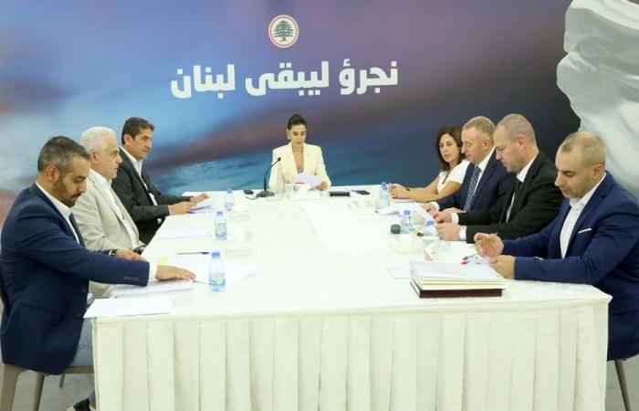 ستريدا جعجع: إعلان الصدي اعتكافه جرس إنذار جدي للحكومة