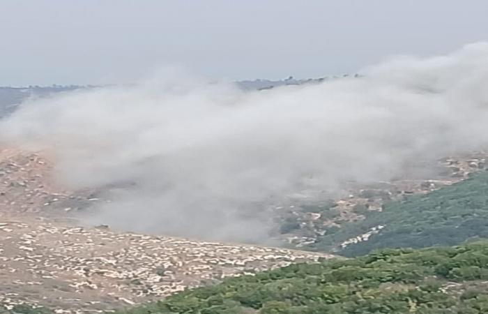 غارات وهمية في أجواء صور وغارة على وادي الحجير (فيديو)