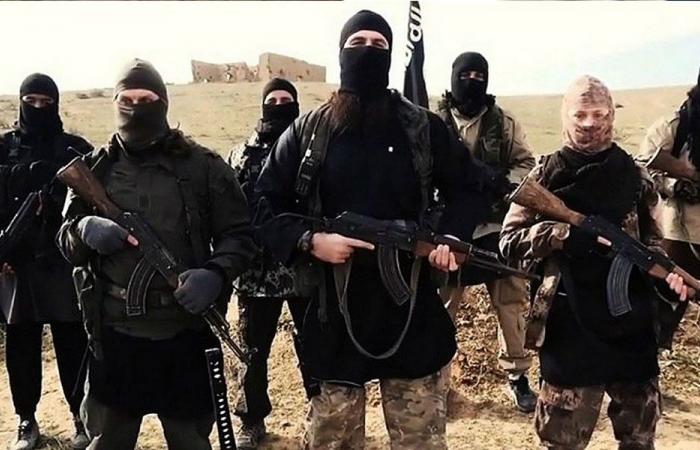 ضبط أسلحة ومتفجرات في طرابلس.. داعش إلى الواجهة!