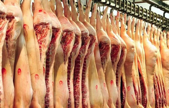وزارة الزراعة توضح طرق انتقال داء التريشينيلا